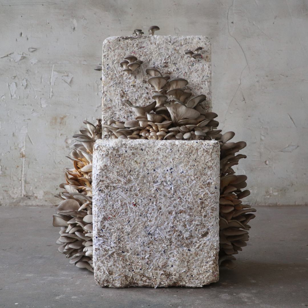 Pavillon de l'Arsenal